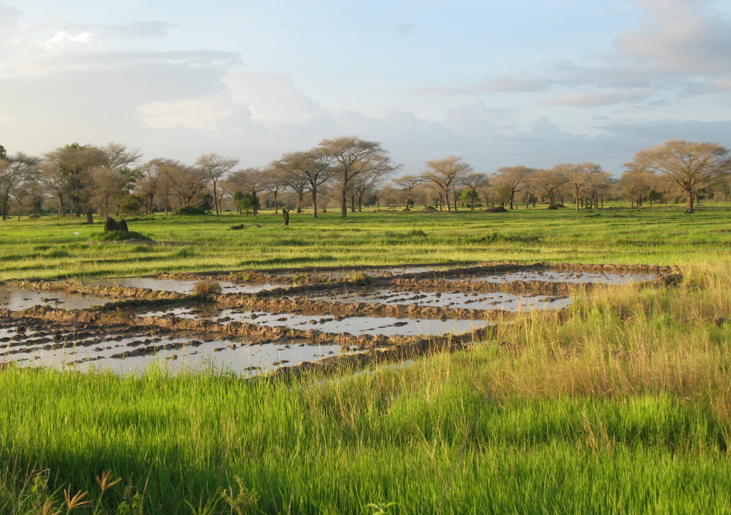 Richesses Agricoles